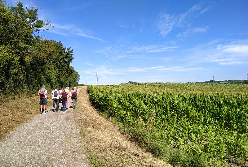 3 sentiers pédestres à Champdolent