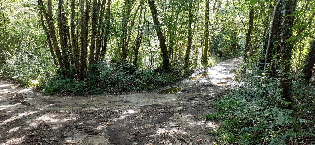 Randonnée boisée  Bords – Champdolent